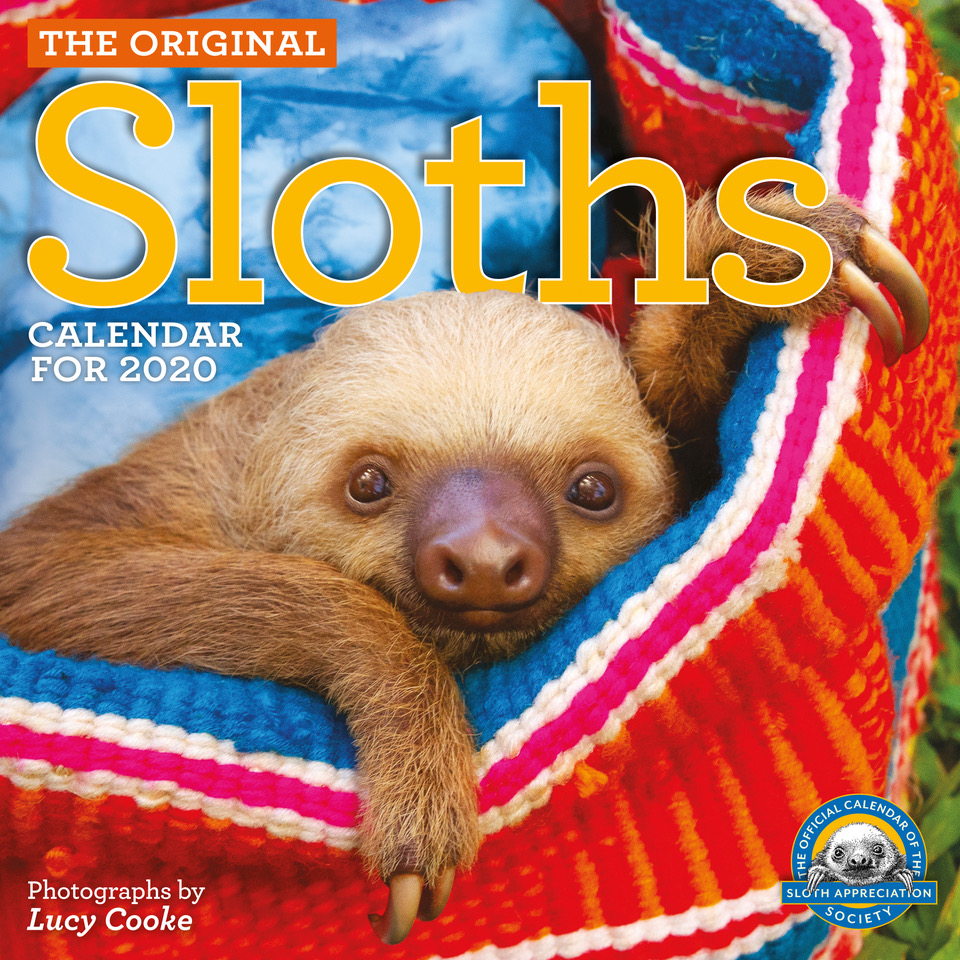 aldi sloth 2020