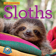 Slothville Wall Calendar 2021