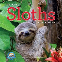 Sloths Calendar 2022