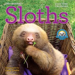 Sloths 2022 Mini Calendar